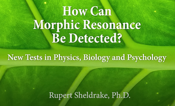 The Force of Habit: New Tests for Morphic Resonance
